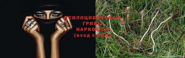 каннабис Алексеевка
