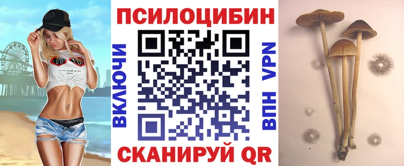Галлюциногенные грибы Cubensis Новоульяновск
