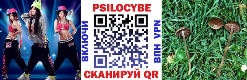 Купить  Новоульяновск  Псилоцибиновые грибы Magic Shrooms 